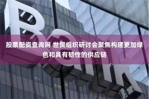 股票配资查询网 世贸组织研讨会聚焦构建更加绿色和具有韧性的供应链