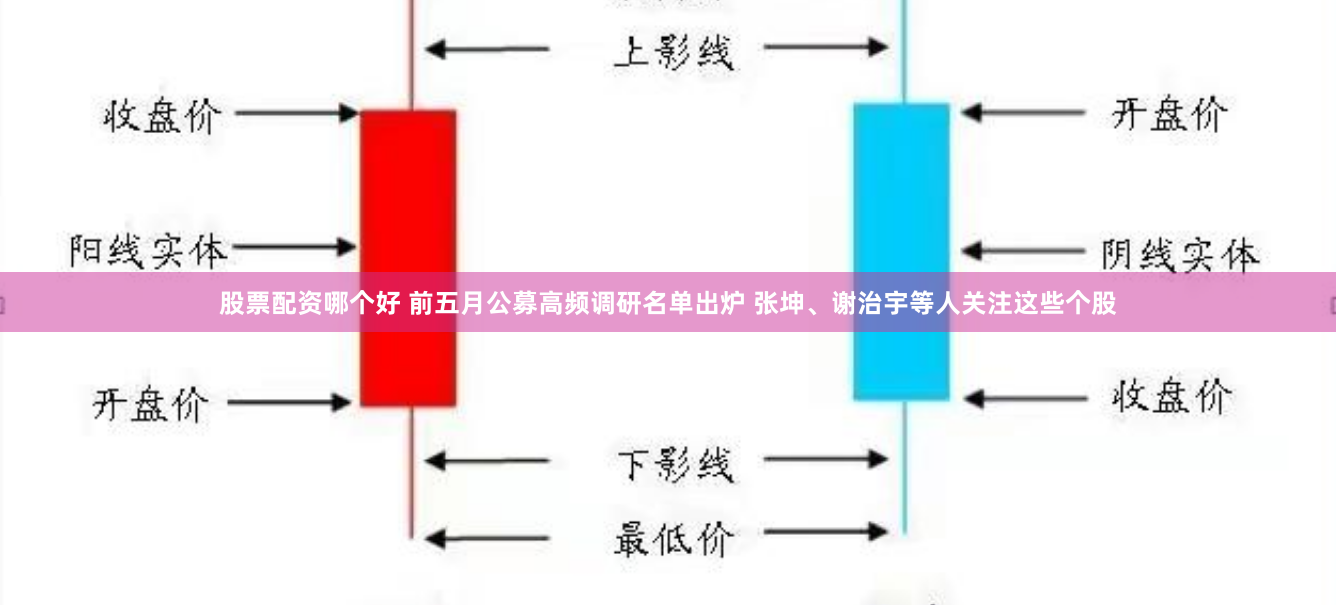 股票配资哪个好 前五月公募高频调研名单出炉 张坤、谢治宇等人关注这些个股