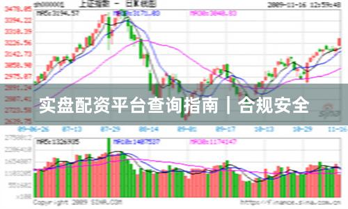 实盘配资平台查询指南｜合规安全